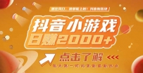 2025最新风口项目，抖音小游戏，亲测单游戏2000+感兴趣点击了解