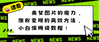 利用美女图片的魔力，高效涨粉变现的方法，小白保姆级教程！