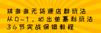 拼多多无货源店群：从0~1，必出单10单利润1000+暴利玩法，36节实战保姆教程