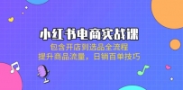 小红书电商实战课：包含开店到选品全流程，提升商品流量，日销百单技巧
