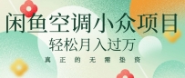 闲鱼卖空调，蓝海小众项目 轻松月入过万 真正的无需垫资金