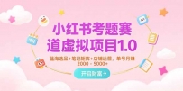 小红书考题赛道虚拟项目1.0，蓝海选品+笔记矩阵+店铺运营，单号月赚5000+