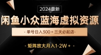 闲鱼蓝海项目：小众虚拟资源，三天必起店，轻松日入300+