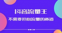 抖音流量王，不需要担心流量的赛道，美女图文音乐号升级玩法（附实操+养号流程）