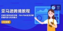 亚马逊跨境教程，店铺注册到选品攻略，FBA/FBM发货讲解，把握风险与利润