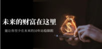 某收费文章《未来的财富在这里》能让你至少在未来的10年站稳脚跟