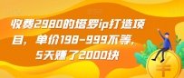 收费2980的塔罗IP打造项目，单价198-999不等，5天赚了2000块【揭秘】