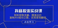 抖音投流实战课，轻松获取流量，精准出价，复制大V成功之路，实现变现翻倍