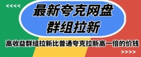 高收益夸克网盘群组版的最新推广方式，比普通夸克拉新高一倍的价钱