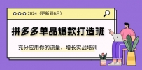 2024拼多多-单品爆款打造班(更新6月)，充分应用你的流量，增长实战培训