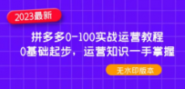 2023拼多多0-100实战运营教程，0基础起步，运营知识一手掌握