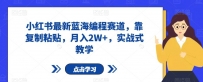 小红书最新蓝海编程赛道，靠复制粘贴，月入2W+，实战式教学【揭秘】