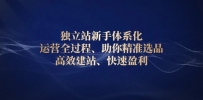 独立站新手体系化 运营全过程，助你精准选品、高效建站、快速盈利