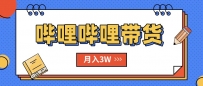 B站哔哩哔哩带货秘籍，新风口，抢占红利，单月轻松破万【附SOP手册】