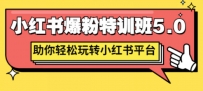 小红书爆粉特训班5.0，助你轻松玩转小红书平台