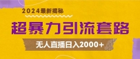 超暴力引流套路，无人直播日入2000+