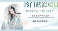 蓝海冷门项目，轻松操作，新手3分钟简单上手，多种引流策略，保姆式全流程教学【揭秘】