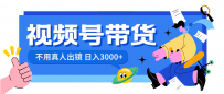 视频号带货项目，日入3000+，不用真人出镜