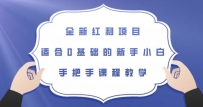 全新红利项目，零基础新手也能轻松上手【揭秘】
