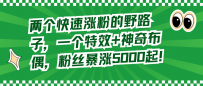 两个快速涨粉的野路子，一个特效+神奇布偶，粉丝暴涨5000起！