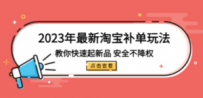 2023年最新淘宝补单玩法，教你快速起·新品，安全·不降权（18课时）