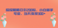 探探陌陌日引200粉，小白新手可做，当天就能变现300+