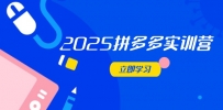 2025拼多多实训营：深度剖析运营关键，助力电商人快速提升