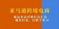 亚马逊跨境电商：新品老品营销打法汇总，爆款打造，日销千单