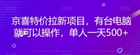 京喜特价拉新新玩法，有台电脑就可以操作，单人一天500+【揭秘】