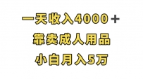 轻松月入5万，靠卖成人用品，一天收入4000+