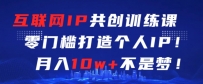 互联网IP共创训练课，零门槛零基础打造个人IP，月入10W+不是梦【揭秘】