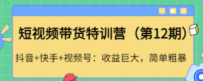 短视频带货特训营（第12期）抖音+快手+视频号：收益巨大，简单粗暴