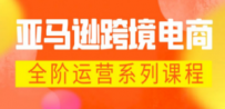 亚马逊跨境-电商全阶运营系列课程 每天10分钟，让你快速成为亚马逊运营高手