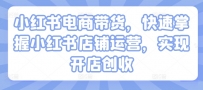 小红书电商带货，快速掌握小红书店铺运营，实现开店创收
