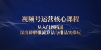 视频号运营核心课程，从入门到精通，深度讲解推流算法与排品实操玩
