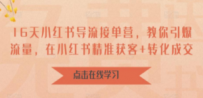16天-小红书 导流接单营，教你引爆流量，在小红书精准获客+转化成交