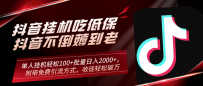 抖音挂机吃低保项目，单人挂机轻松100+批量日入2000+，附带免费引流方式，收徒轻松破万