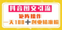 抖音图文引流 矩阵操作 一天100+创业精准粉（5节视频课+素材模板）