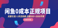 闲鱼0成本无货源正规项目，无需引流1-3天见效果，日入500-5000