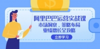 阿里巴巴运营实战课：市场洞察、策略布局、业绩增长全攻略
