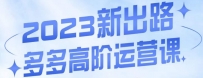 大炮·多多高阶运营课，3大玩法助力打造爆款，实操玩法直接亮出干货
