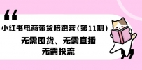 小红书电商带货陪跑营(第11期)无需囤货、无需直播、无需投流（送往期10套）