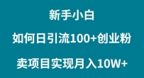 普通人小白如何通过卖项目实现月入10W+