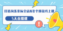 打造-淘系-非标全店N多个爆款线上课，5天直播课（19期）