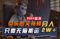 2024最新蓝海项目，只靠无脑搬运，不需要剪辑，有手就会，京东图文视频