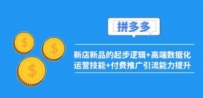 2022拼多多：新店新品的起步逻辑+高端数据化运营技能+付费推广引流能力提升