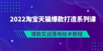 2022淘宝天猫爆款打造系列课：爆款实战落地技术教程