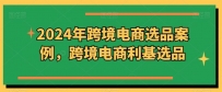 2024年跨境电商选品案例，跨境电商利基选品（更新）
