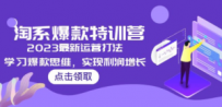 2023淘系爆款特训营，2023最新运营打法，学习爆款思维，实现利润增长