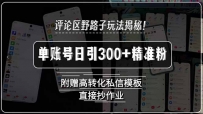 评论区野路子玩法揭秘！单账号日引300+精准粉，附赠高转化私信模板，直…